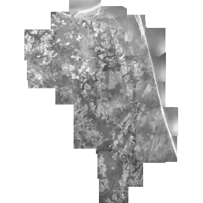 Export Image