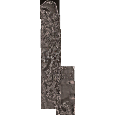 Export Image