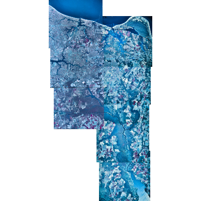 Export Image