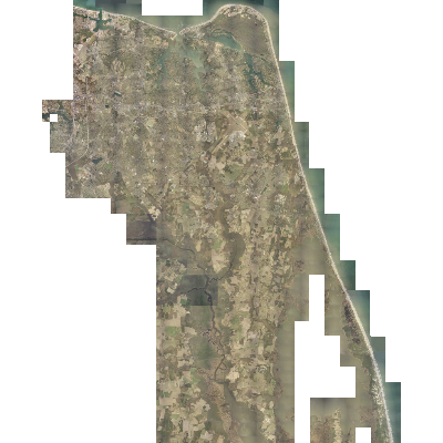 Export Image