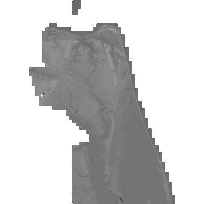 Export Image